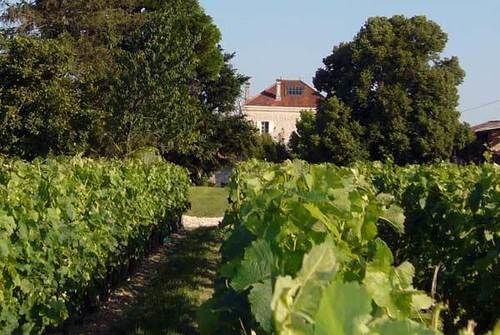 מלון Moulis-en-Médoc Domaine De Quittignan Brillette מראה חיצוני תמונה